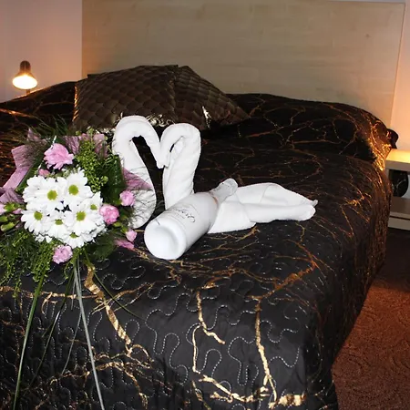 Guest house Penzion Iris *